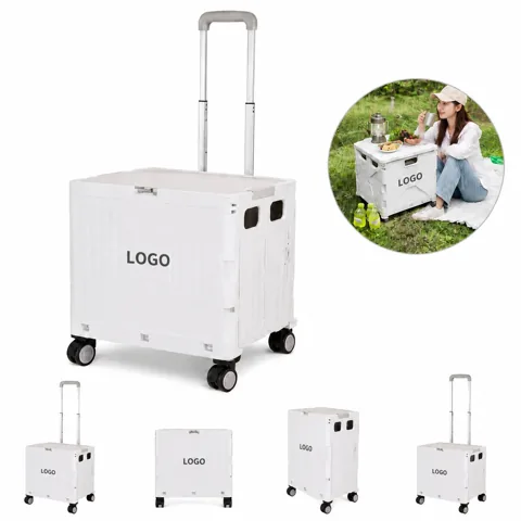 Folding Wheeled Grocery Cart with Compact Storage