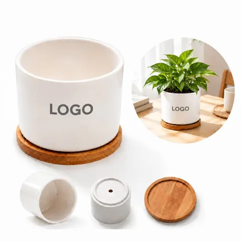 Compact Ceramic Planter for Succulents Herbs Flowers
