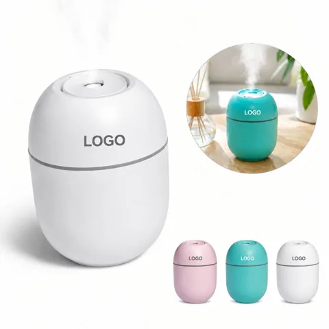 Portable Egg-Shaped Mist Humidifier with USB Plug