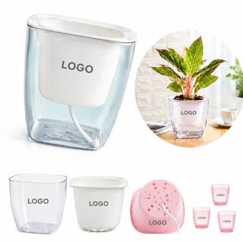 Clear Square Pot with Self-Watering Reservoir