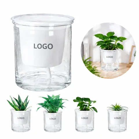 Clear Self-Watering Planter with Reservoir for Indoor Plants