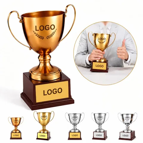 Custom Metal Award for Employee Recognition and Sports