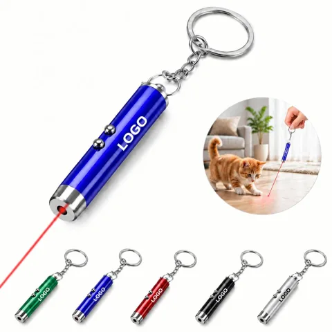 Portable Interactive Pet Laser Toy Keychain for Cats and